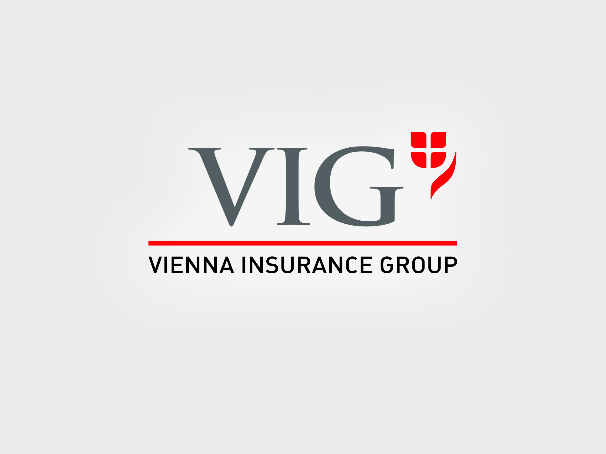 vig logo